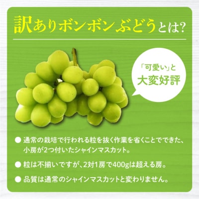 【先行受付2026年発送】訳アリボンボンぶどう!シャインマスカットたっぷり2kg|信州東御ぶどう園
