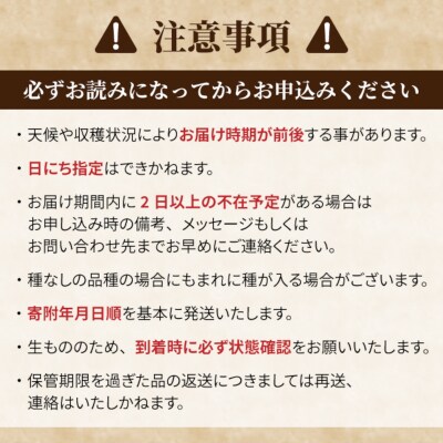 クイーンニーナ ご贈答品 大房1房(月曜、火曜、金曜発送限定。指定不可)