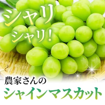 シャインマスカット&高級ぶどう詰め合わせ ご贈答品 2房