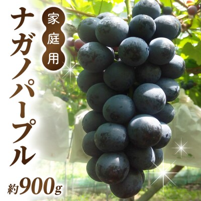 ナガノパープル ご家庭用 約900g～1kg(2～5房)