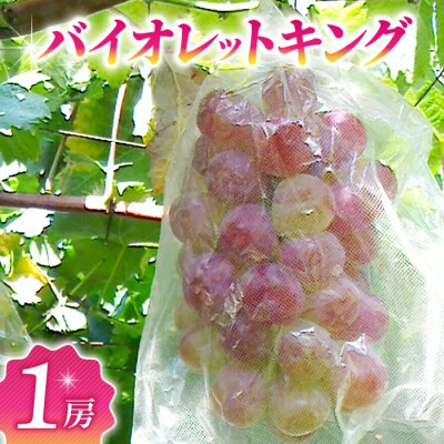 バイオレットキング 1房　希少種(月、火、金曜日発送限定。発送日、発送曜日指定不可)