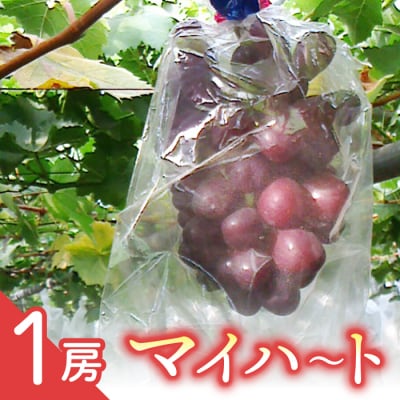 マイハート1房 ご贈答品 高級葡萄(月、火、金曜日発送限定。発送日、発送曜日指定不可)