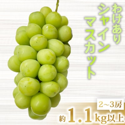 【清水農園】わけありシャインマスカット約1.1kg(2～3房)