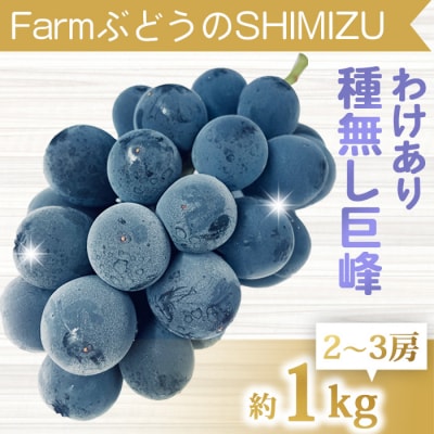 【清水農園】わけあり種無し巨峰約1kg(2～3房)※2025年9月中旬以降発送予定