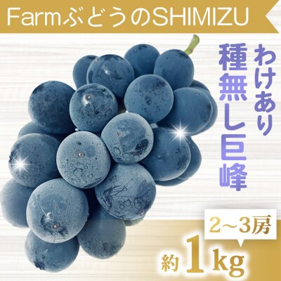 【先行受付2026年発送】わけあり種無し巨峰約1kg(2～3房)|清水農園