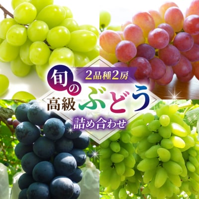 旬の高級ぶどう詰め合わせ ご贈答品 2房(月、火、金曜日発送限定。発送日、発送曜日指定不可)