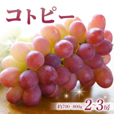 コトピー 2房 ご贈答品約700～900g(2～3房)