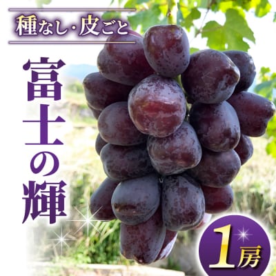 【数量限定!】東御市産富士の輝き　1房(500g以上)