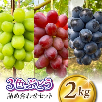 【2026年先行受付】農家直送!贈答用3色ぶどうの詰め合わせセット 2kg(4～7房)|おぎはら園