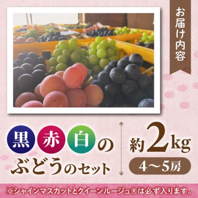【おぎはら園】農家直送!贈答用3色ぶどうの詰め合わせセット 2kg(4～5房)