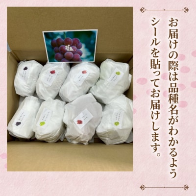 【おぎはら園】農家直送!贈答用3色ぶどうの詰め合わせセット 2kg(4～5房)
