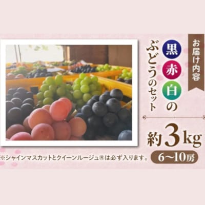 【先行受付2026年発送】農家直送!贈答用3色ぶどうの詰め合わせセット 3kg|おぎはら園