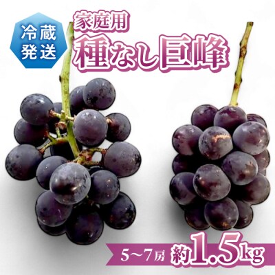 先行受付2026年発送【Grape Farm Kodaira】家庭用種なし巨峰　約1.5kg