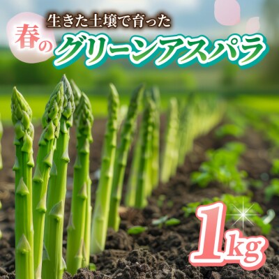 先行受付【里山JAPAN】甘くて柔らか 生きた土壌で育った『春のグリーンアスパラ』|長野県 ※202