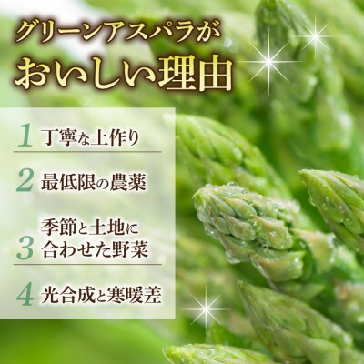 先行受付【里山JAPAN】甘くて柔らか 生きた土壌で育った『春のグリーンアスパラ』|長野県 ※202