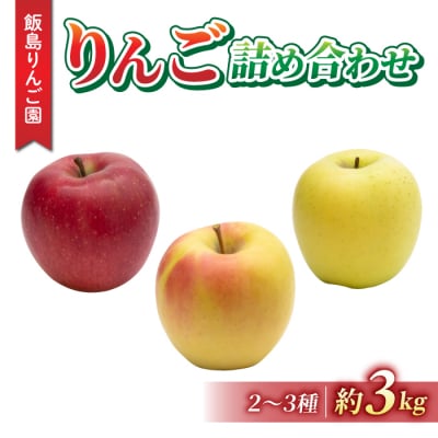 【飯島りんご園】旬の色々りんごの詰め合わせセット　3kg(2～3種)※10月中旬～順次発送