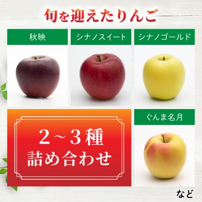 【飯島りんご園】旬の色々りんごの詰め合わせセット　3kg(2～3種)※10月中旬～順次発送