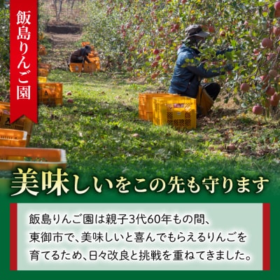 【飯島りんご園】旬の色々りんごの詰め合わせセット　3kg(2～3種)※10月中旬～順次発送