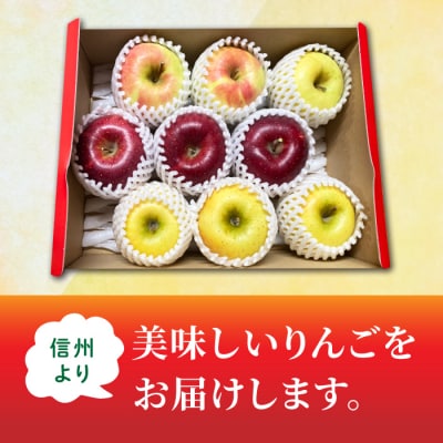【飯島りんご園】旬の色々りんごの詰め合わせセット　3kg(2～3種)※10月中旬～順次発送