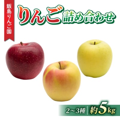 【飯島りんご園】旬の色々りんごの詰め合わせセット　5kg(2～3種)　※10月中旬～順次発送