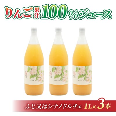 果汁100%りんごジュース(ふじ又はシナノドルチェ)3本【飯島りんご園】
