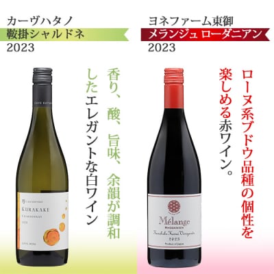 東御ワイン 赤白ワイン バラエティ6本セット
