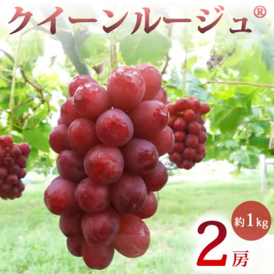 【先行受付2026年発送】農家直送!クイーンルージュ(R)2房(約1kg)【土屋農園】