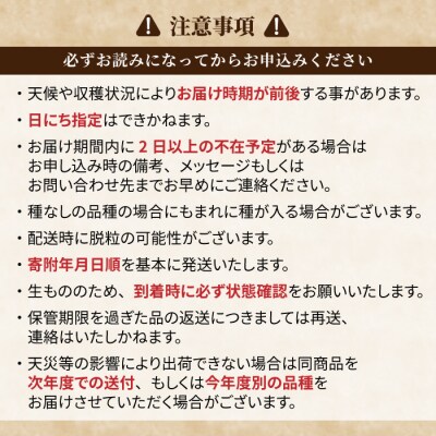 【先行受付2026年発送】農家直送!クイーンルージュ(R)2房(約1kg)【土屋農園】