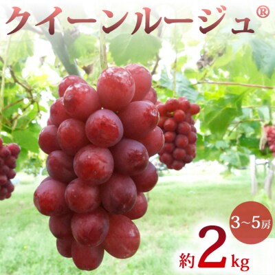 【先行受付2026年発送】農家直送!クイーンルージュ(R)約2kg(3～5房)【土屋農園】