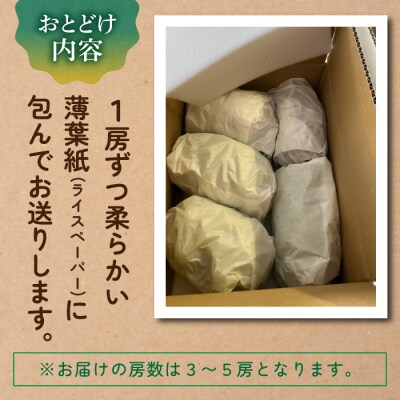 【先行受付2026年発送】農家直送!クイーンルージュ(R)約2kg(3～5房)【土屋農園】