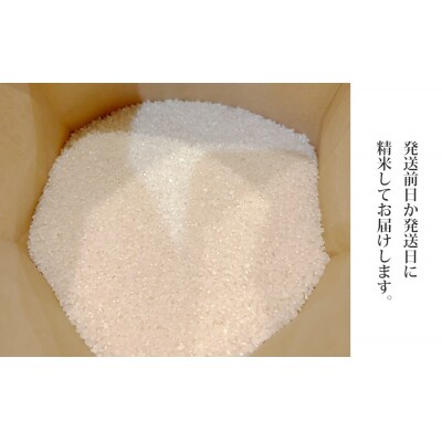 R7年産コシヒカリ10kg(5kg×2)Ruga grape farm※2025年10月下旬以降発送