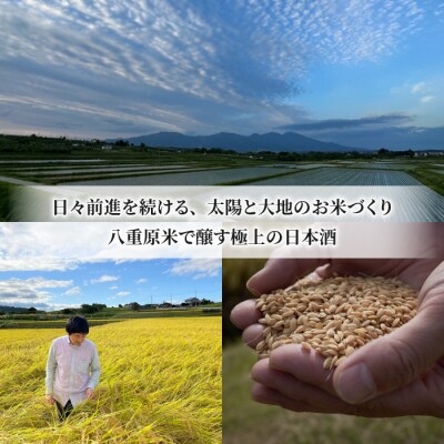 日本酒「坐kura 純米大吟醸 金紋錦」「佐久の花 純米大吟醸 八重原ひとごこち」飲み比べセット