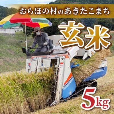 【田沢おらほ村】R7年産新米!あきたこまち　玄米5kg　※2025年11月中旬以降発送予定