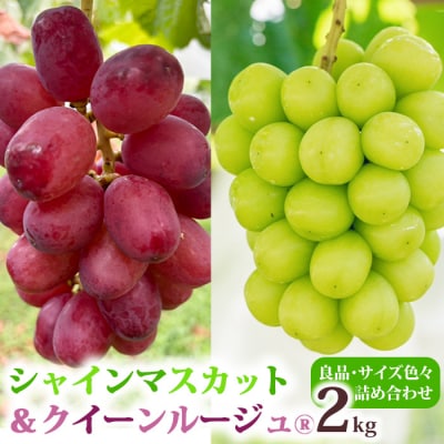 シャインマスカット&クイーンルージュ(R)各2房　合計約2kg良品サイズ色々詰め合わせセット