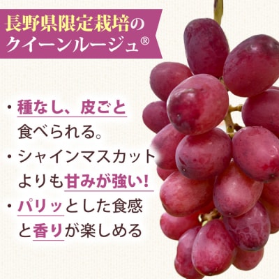 シャインマスカット&クイーンルージュ(R)各2房　合計約2kg良品サイズ色々詰め合わせセット
