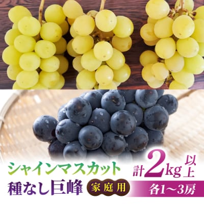 【先行受付2026年発送】家庭用シャインマスカット&種なし巨峰　合計2kg以上(各1～3房)