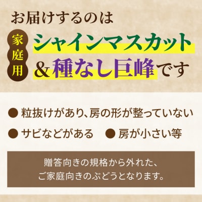 【先行受付2026年発送】家庭用シャインマスカット&種なし巨峰　合計2kg以上(各1～3房)