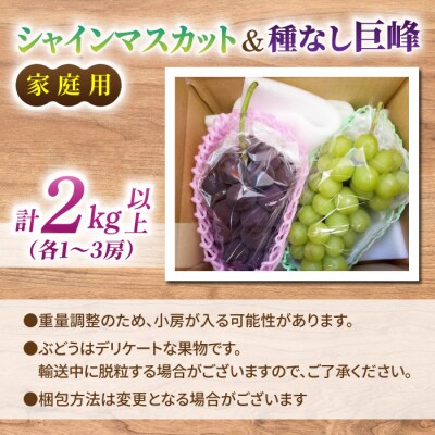 【先行受付2026年発送】家庭用シャインマスカット&種なし巨峰　合計2kg以上(各1～3房)