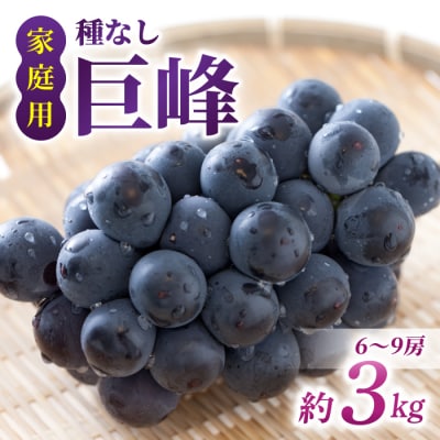 【先行受付2026年発送】家庭用種なし巨峰　約3kg(6～9房)※2026年9月上旬以降順次発送
