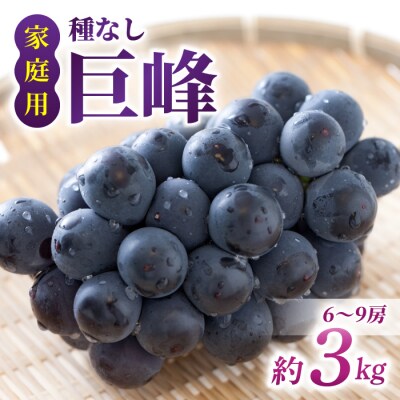 【先行受付2026年発送】家庭用種なし巨峰　約3kg(6～9房)※2026年9月上旬以降順次発送