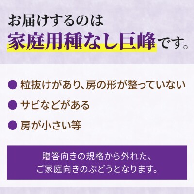 【先行受付2026年発送】家庭用種なし巨峰　約3kg(6～9房)※2026年9月上旬以降順次発送