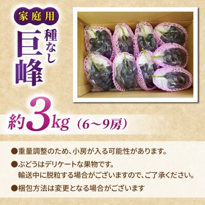 【先行受付2026年発送】家庭用種なし巨峰　約3kg(6～9房)※2026年9月上旬以降順次発送