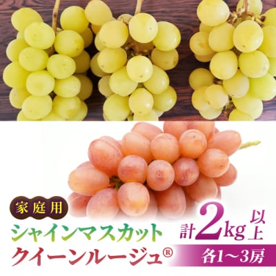 【先行受付2026年発送】家庭用シャインマスカット&クイーンルージュ(R)　合計2kg以上