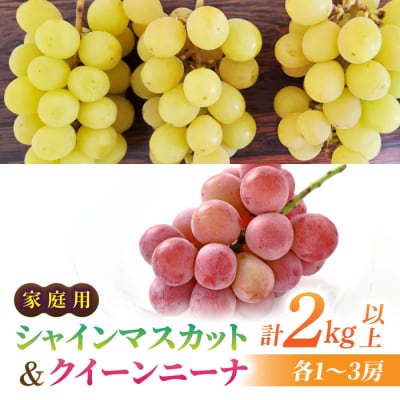 【先行受付2026年発送】家庭用シャインマスカット&クイーンニーナ　合計2kg以上(各1～3房)