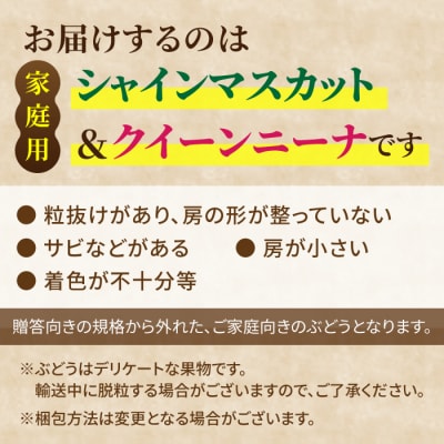 【先行受付2026年発送】家庭用シャインマスカット&クイーンニーナ　合計2kg以上(各1～3房)