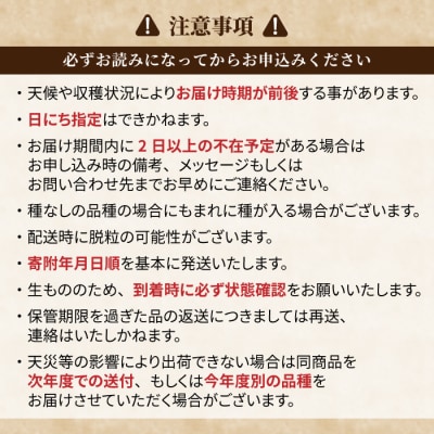 【先行受付2026年発送】家庭用シャインマスカット&クイーンニーナ　合計2kg以上(各1～3房)