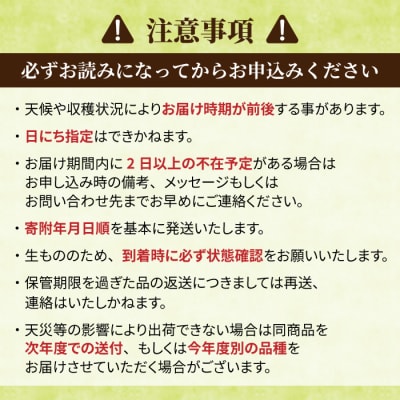 【先行受付2026年発送】農家直送!とうもろこし(ゴールドラッシュ)12本|小林菜園 