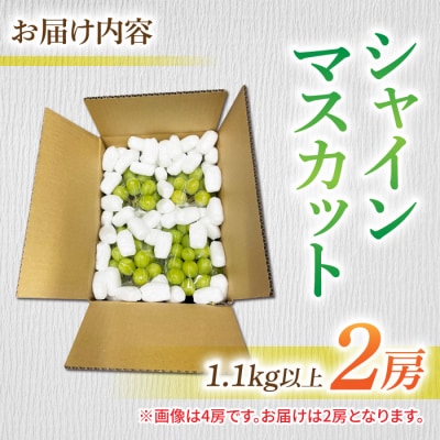 【先行受付2026年発送】長野県東御市産シャインマスカット2房　1.1kg以上