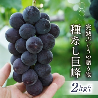 【先行受付2026年発送】完熟ぶどうの贈り物(種なし巨峰4～5房、2kg以上)