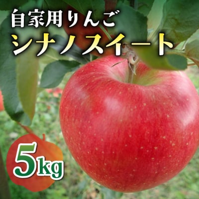 【先行受付2026年発送】農家直送!自家用りんご シナノスイート　5kg (約12～18個)